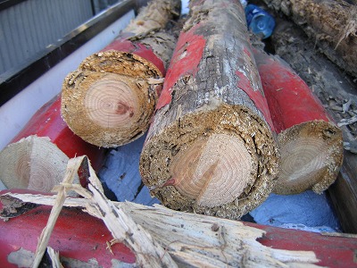 s-081118 (1).jpg