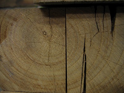 s-090324 (2).jpg
