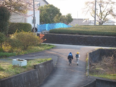 s-090407.jpg
