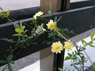s-090420 (3).jpg