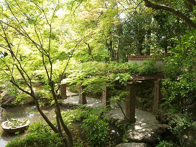 s-090507.jpg