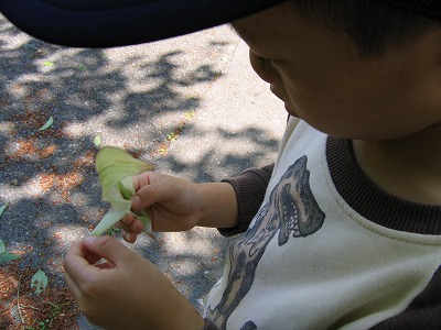 s-090511 (8).jpg
