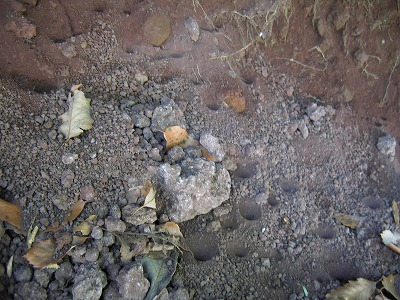 s-090511 (5).jpg