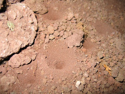 s-090511 (4).jpg