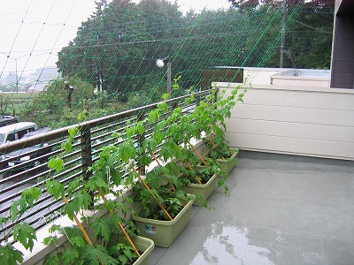 s-090611.jpg