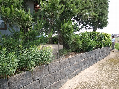 s-090630.jpg