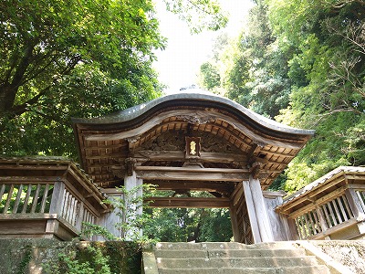 s-090709 (1).jpg