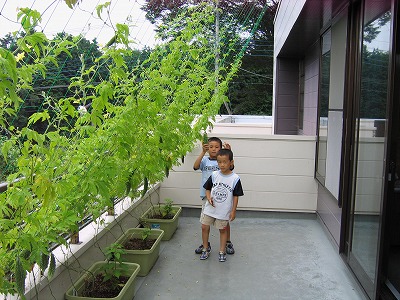 s-090721 (2).jpg