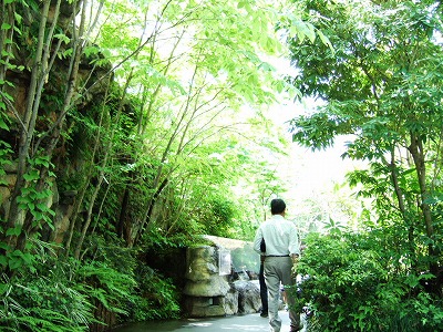 s-090910 (9).jpg