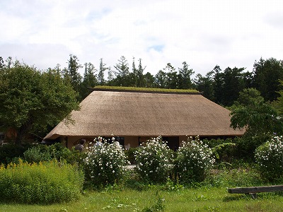 s-090911 (4).jpg