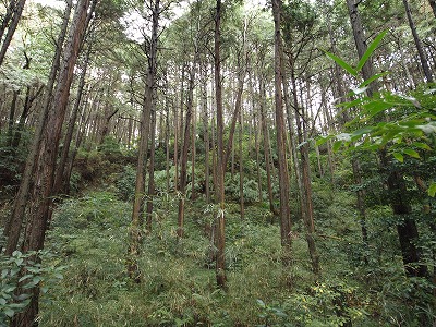 s-091116 (1).jpg