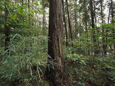 s-091116 (2).jpg