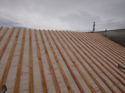 s-091215 (2).jpg