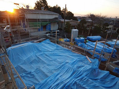 s-100112 (1).jpg