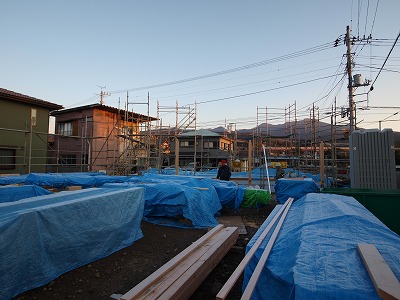 s-100112 (3).jpg