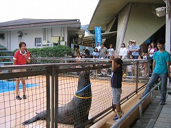 s-070925 (2).jpg
