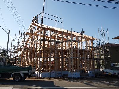 s-100113 (1).jpg