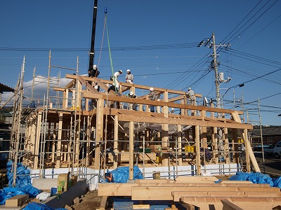 s-100113 (3).jpg