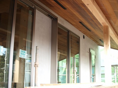 s-100310 (5).jpg