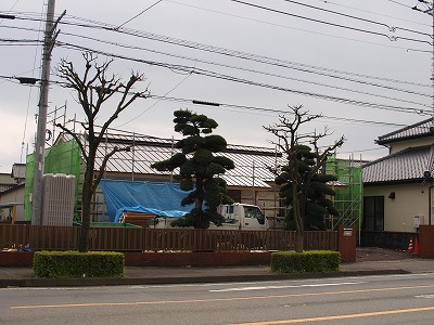 s-100409 (1).jpg