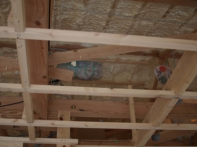 s-100409 (2).jpg