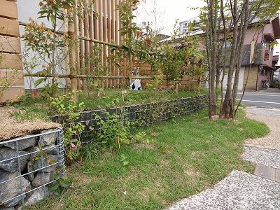 s-100519 (2).jpg