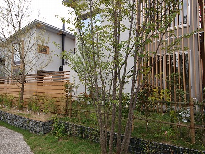 s-100519 (5).jpg