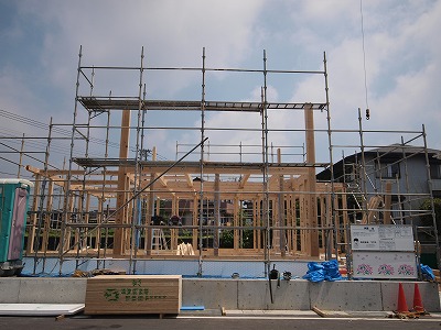 s-100526 (1).jpg
