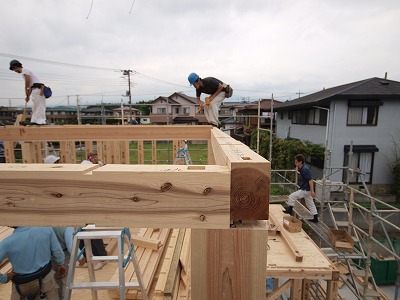 s-100528 (5).jpg