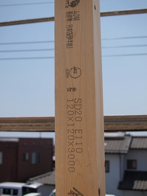 s-100528 (8).jpg