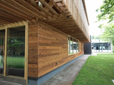 s-100623 (3).jpg