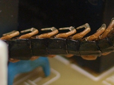 s-100624 (4).jpg