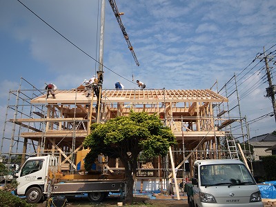 s-101015 (1).jpg