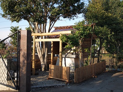 s-101229 (5).jpg