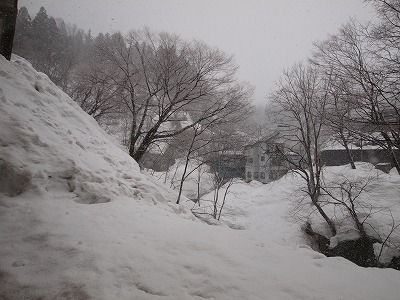 s-110310 (1).jpg