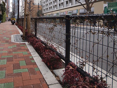 s-110318 (2).jpg