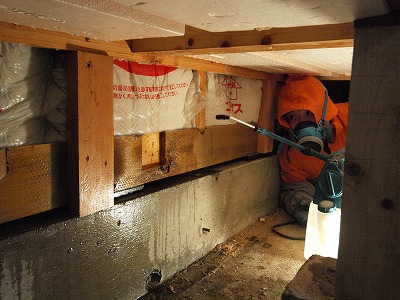 s-110325 (1).jpg
