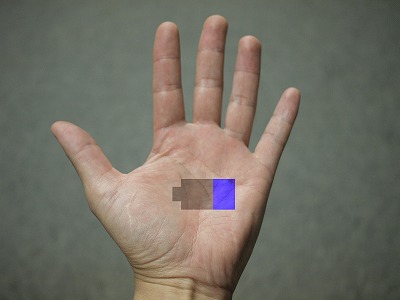 s-110420 (2).jpg