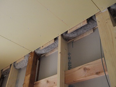 s-110427 (9).jpg