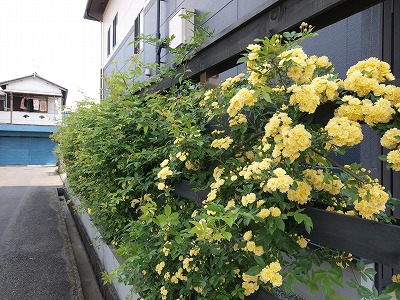 s-110502 (1).jpg