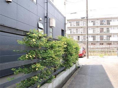 s-110502 (2).jpg