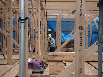 s-110606 (1).jpg
