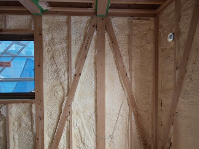 s-110708 (5).jpg