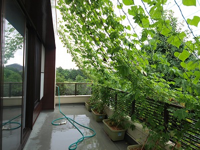 s-110720 (3).jpg