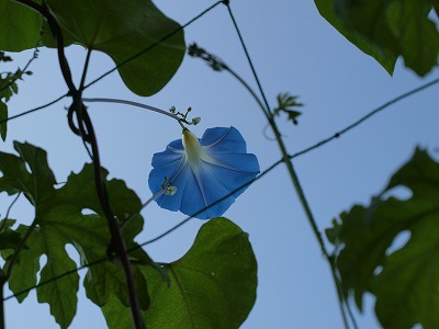 s-110722 (4).jpg