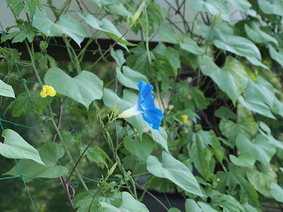 s-110722 (6).jpg