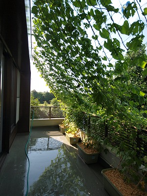 s-110722 (8).jpg