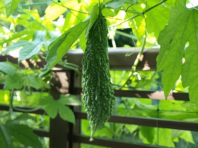 s-110722 (7).jpg