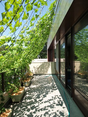 s-110725 (1).jpg