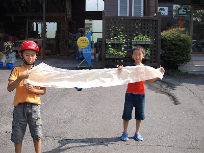 s-110803 (3).jpg